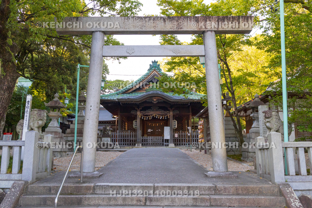 愛知県　深川神社　拝殿