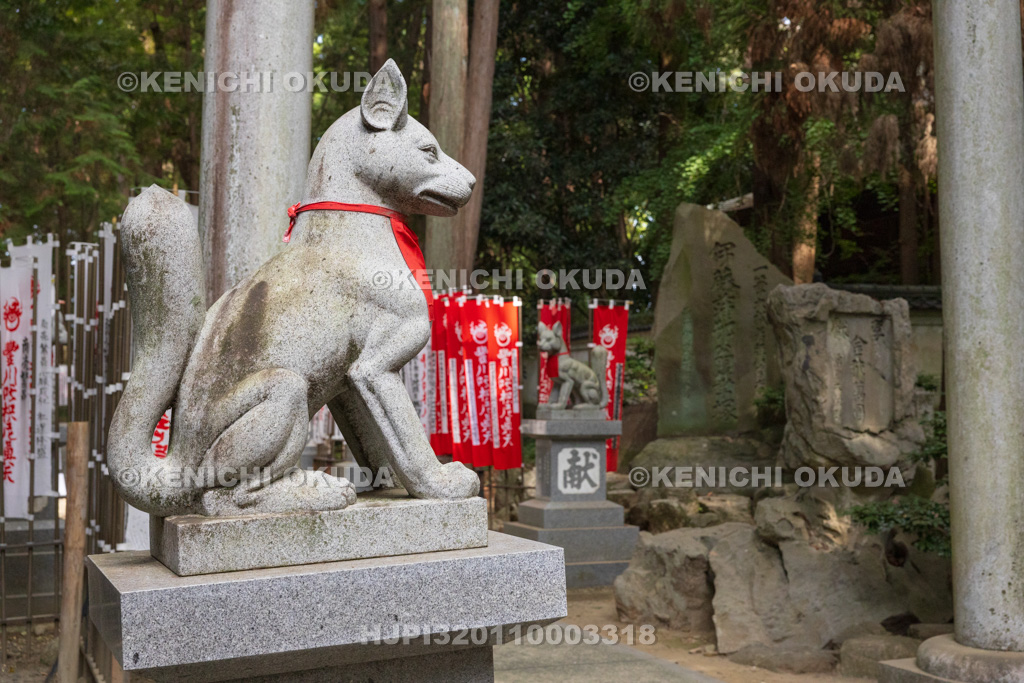 愛知県 妙厳寺(豊川稲荷) 奥の院参道 霊狐