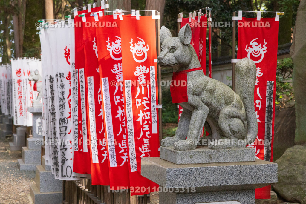 愛知県 妙厳寺(豊川稲荷) 奥の院参道 霊狐