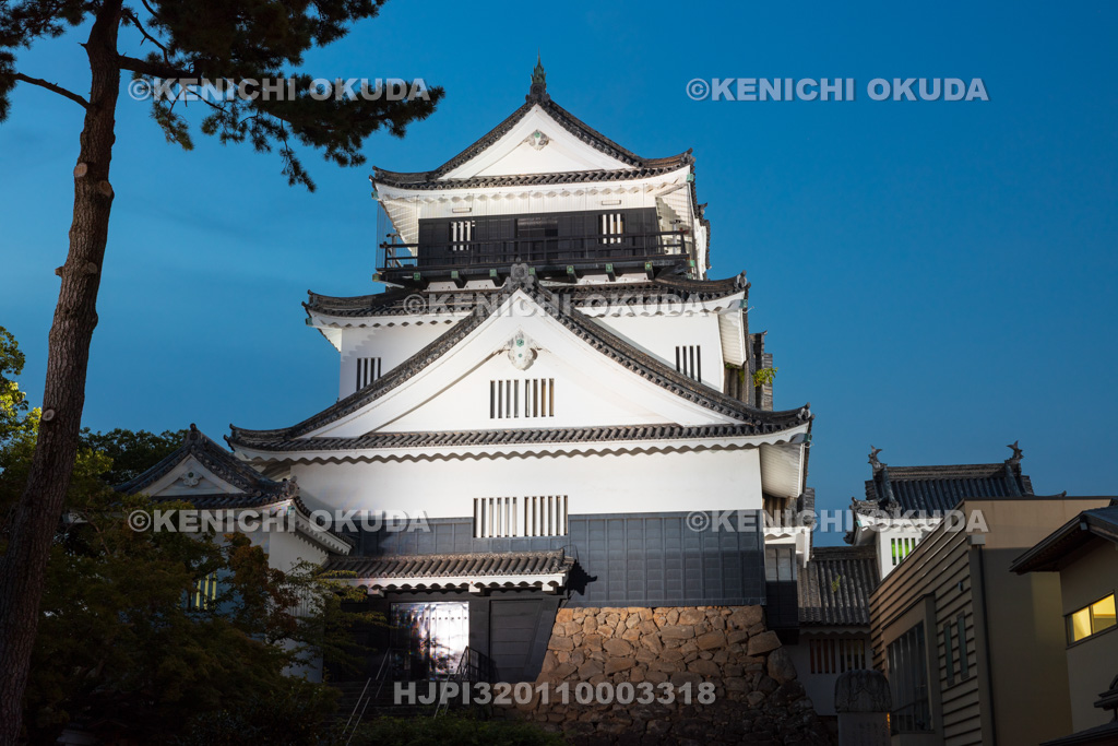 愛知県　夜の岡崎城　天守