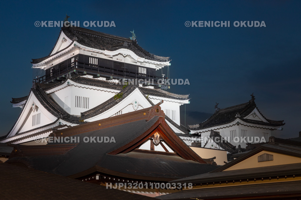 愛知県　夜の岡崎城　天守と龍城神社