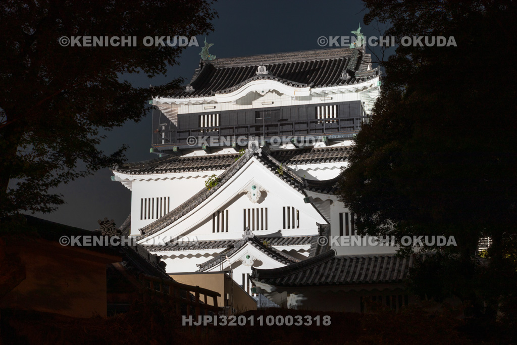愛知県　夜の岡崎城　天守