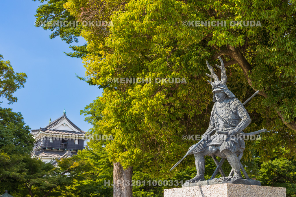 愛知県 岡崎城 天守と本多平八郎忠勝公像