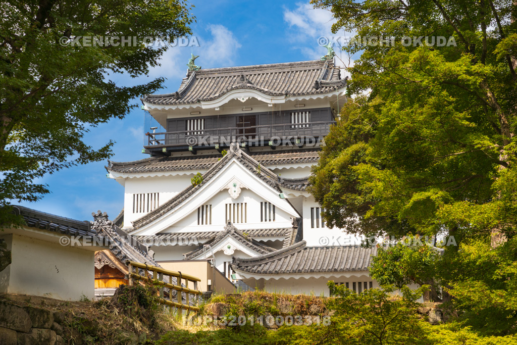 愛知県　岡崎城　天守