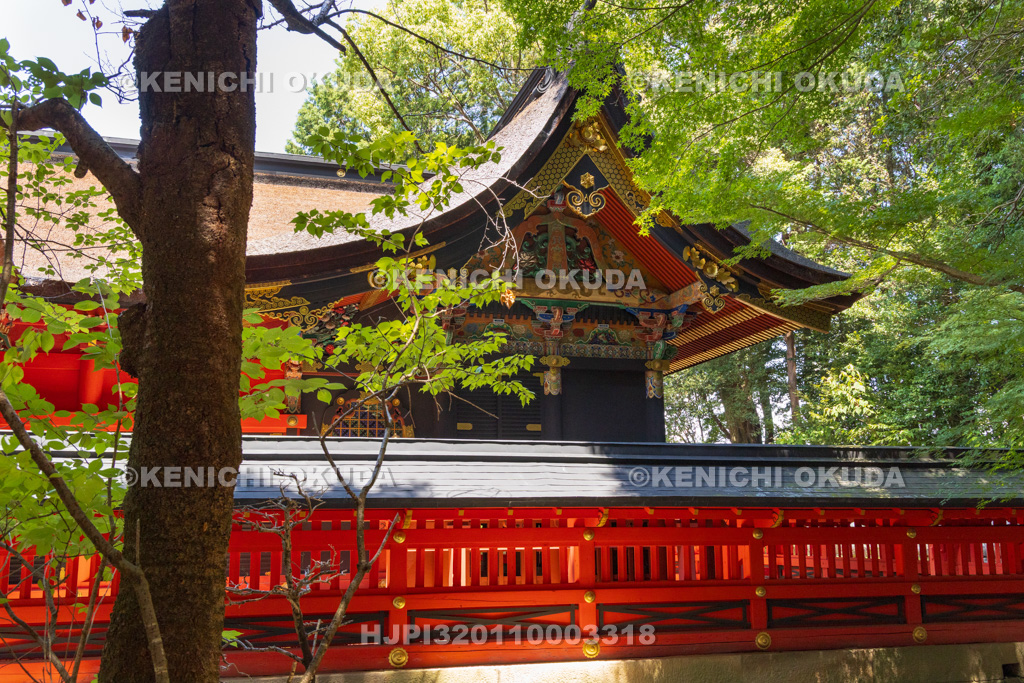 愛知県　六所神社　本殿