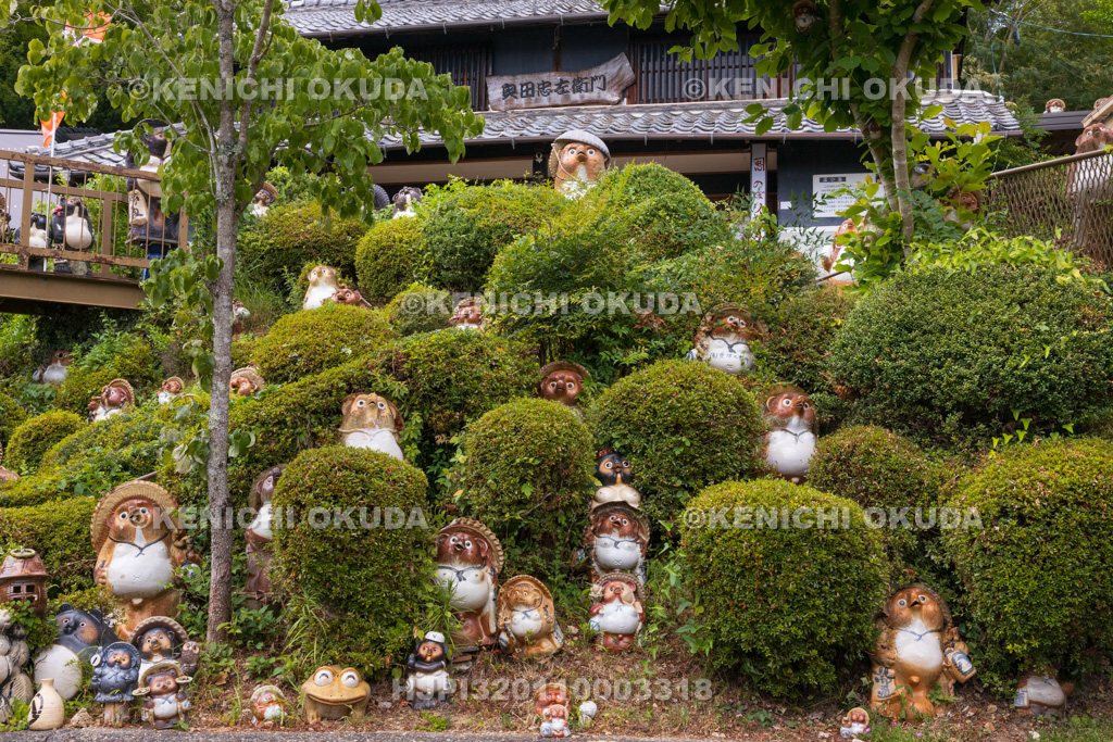 滋賀県　信楽陶芸村（奥田忠左衛門窯）　信楽焼のたぬき