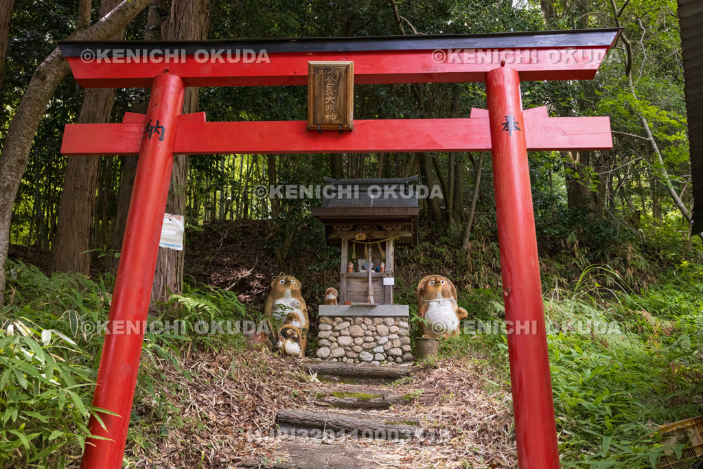 滋賀県　信楽陶芸村（奥田忠左衛門窯）　たぬき神社