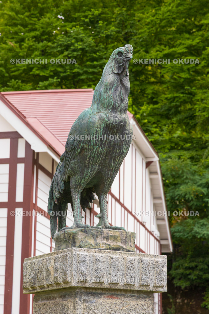 秋田県　鹿角市歴史民俗資料館（旧鹿角郡公会堂）　声良鶏の銅像
