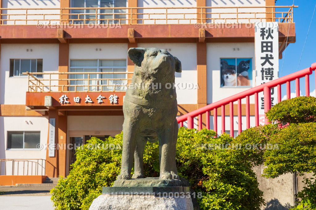 秋田県　秋田犬会館　望郷のハチ公像