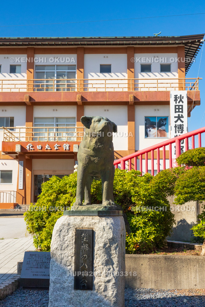 秋田県　秋田犬会館　望郷のハチ公像