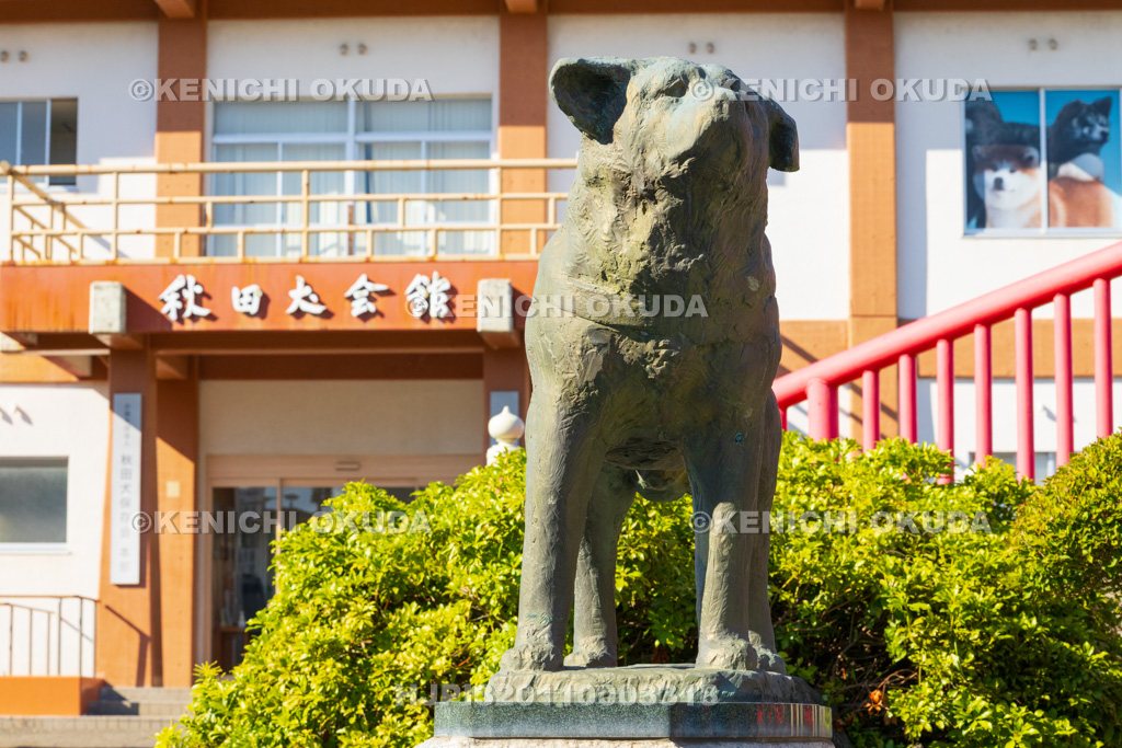 秋田県 秋田犬会館 望郷のハチ公像