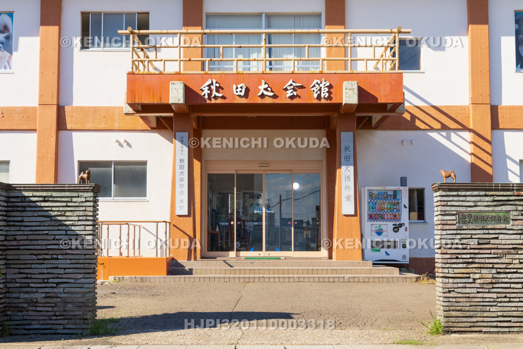 秋田県 秋田犬会館