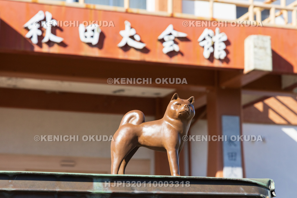 秋田県　秋田犬会館　秋田犬像
