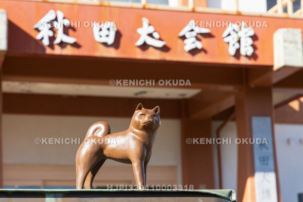 秋田県　秋田犬会館　秋田犬像