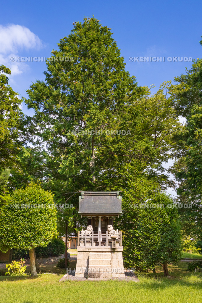 滋賀県 ひばり野(口之宮神社)