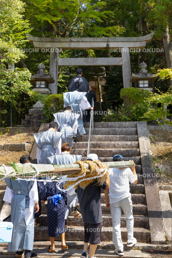 滋賀県 芋競べ祭り 芋を担ぎ神社へ参集