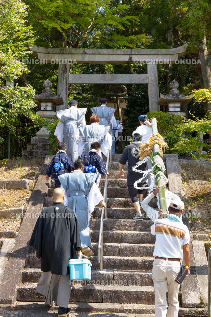 滋賀県 芋競べ祭り 芋を担ぎ神社へ参集