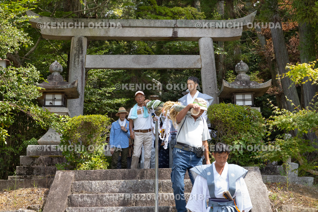 滋賀県 芋競べ祭り 芋を担ぎ野神山へ参進