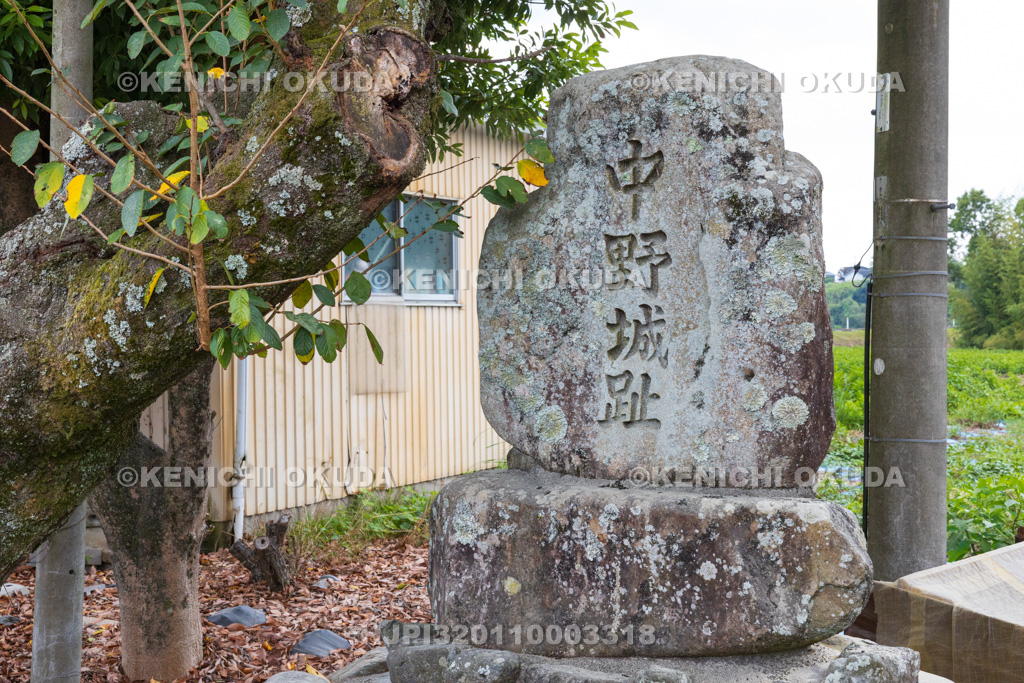 滋賀県 中野(日野)城跡
