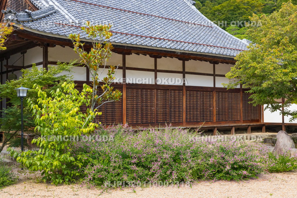 滋賀県 湖東三山 百済寺 萩の花と本坊喜見院