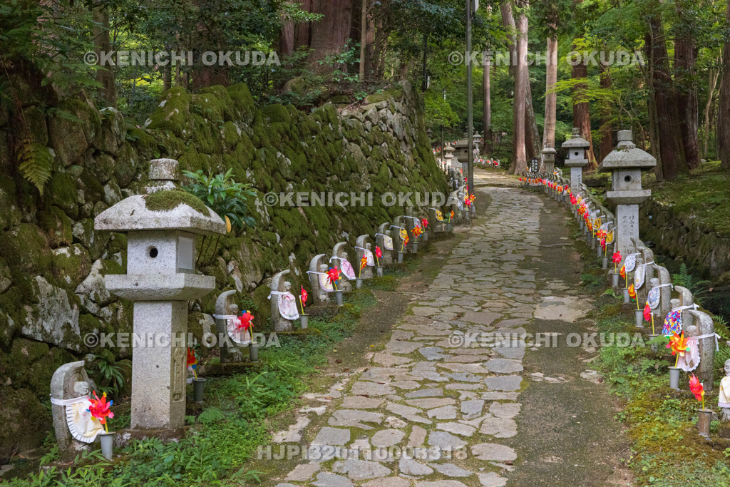 滋賀県　湖東三山　金剛輪寺　参道と千体地蔵