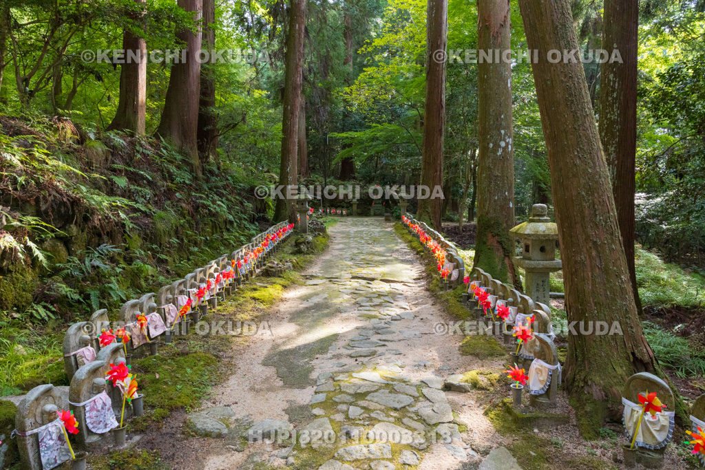 滋賀県 湖東三山 金剛輪寺 参道と千体地蔵