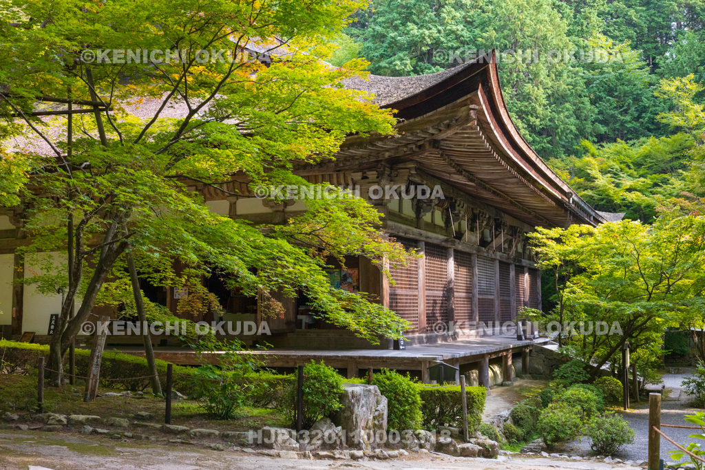 滋賀県 湖東三山 金剛輪寺 本堂大悲閣