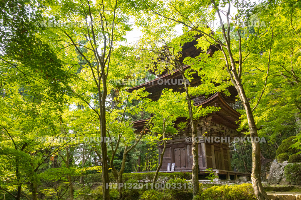 滋賀県 湖東三山 金剛輪寺 三重塔