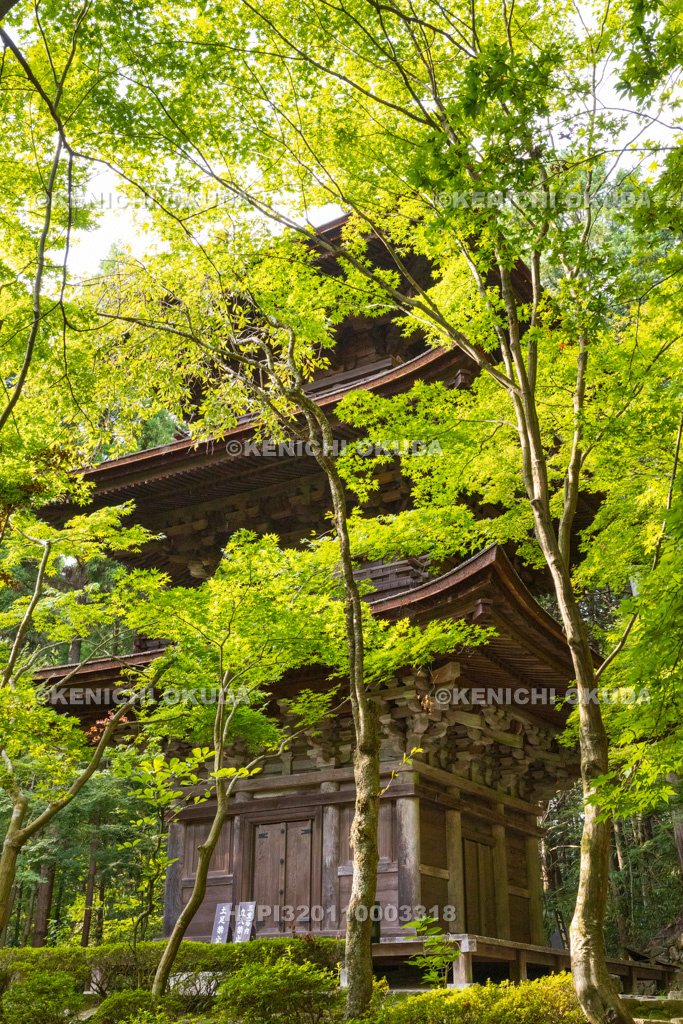 滋賀県　湖東三山　金剛輪寺　三重塔