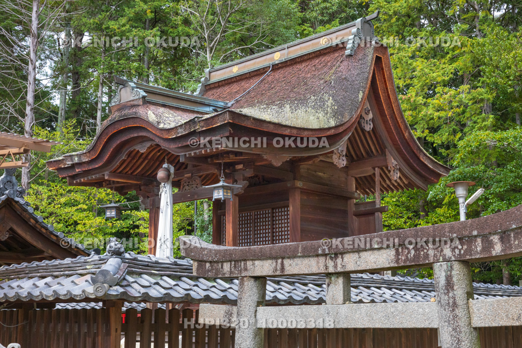 滋賀県　野路　新宮神社　本殿
