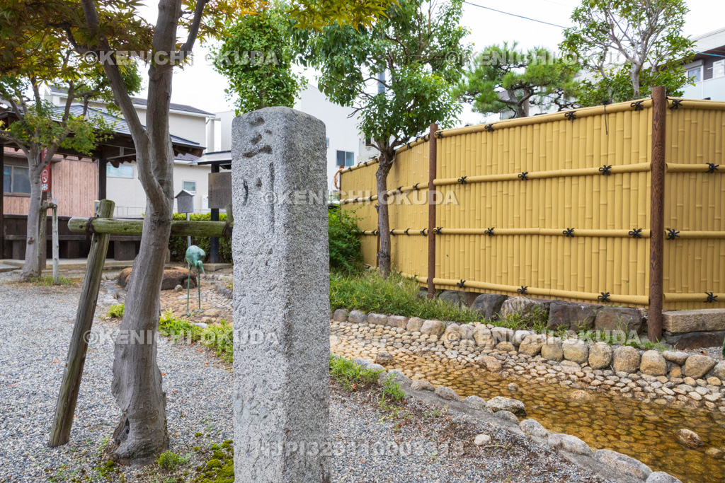 滋賀県 野路の玉川(萩の玉川)