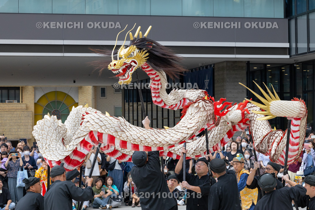 長崎県 長崎くんち 庭先回り 龍踊(諏訪町)