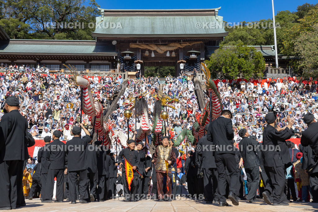 長崎県 長崎くんち 龍踊(諏訪町)