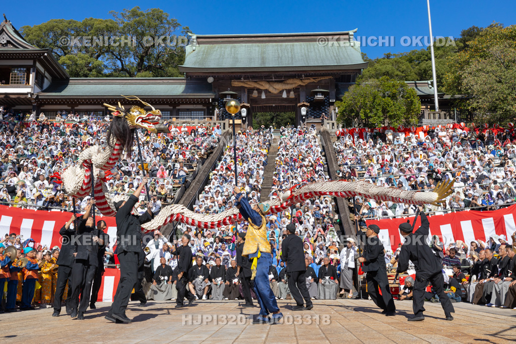 長崎県　長崎くんち　龍踊（諏訪町）