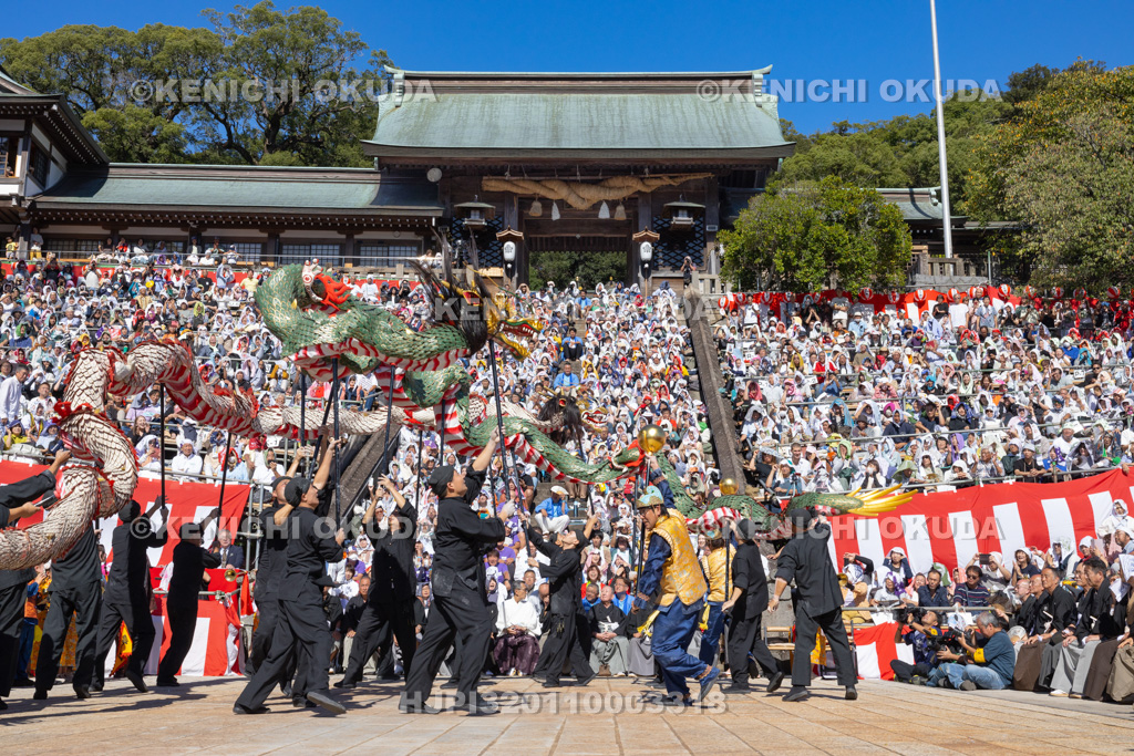 長崎県 長崎くんち 龍踊(諏訪町)