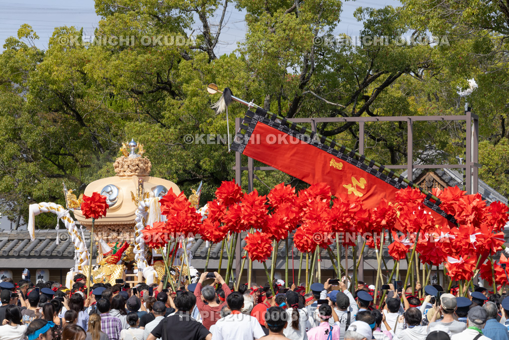 兵庫県 灘のけんか祭り(宵宮) 屋台宮入り 松原