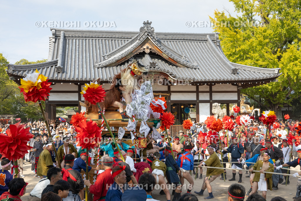 兵庫県 灘のけんか祭り(宵宮) 獅子屋台 妻鹿