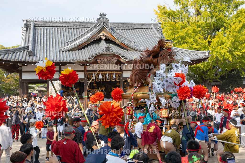 兵庫県 灘のけんか祭り(宵宮) 獅子屋台 妻鹿