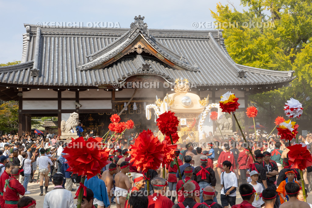 兵庫県 灘のけんか祭り(宵宮) 拝殿前練り上げ 松原