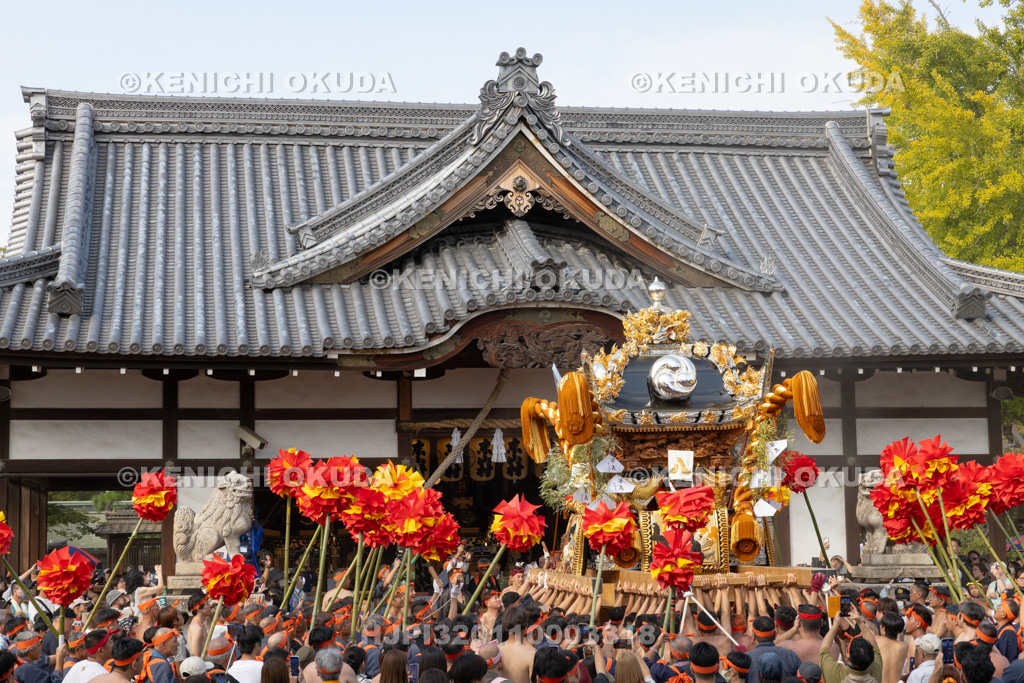 兵庫県 灘のけんか祭り(宵宮) 拝殿前練り上げ 八家
