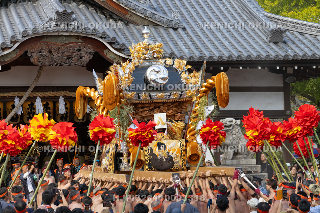 兵庫県 灘のけんか祭り(宵宮) 拝殿前練り上げ 八家