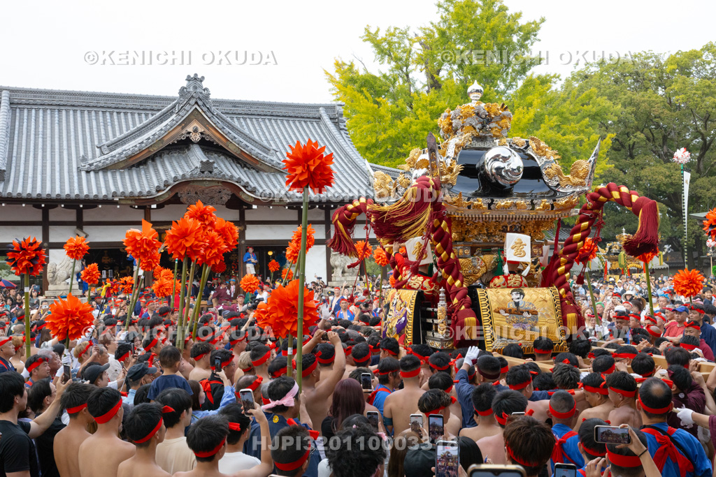 兵庫県 灘のけんか祭り(宵宮) 拝殿前練り上げ 妻鹿