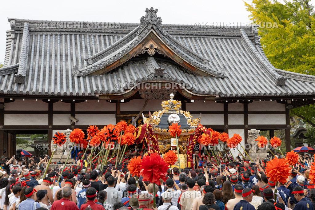 兵庫県 灘のけんか祭り(宵宮) 拝殿前練り上げ 妻鹿