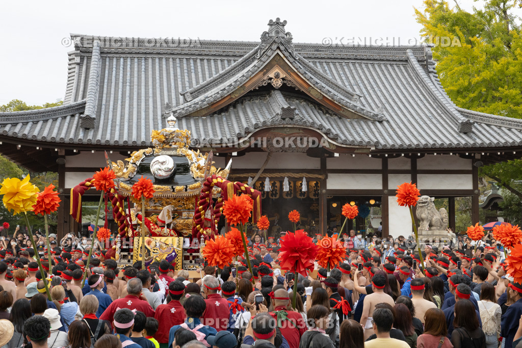 兵庫県　灘のけんか祭り（宵宮）　拝殿前練り上げ　妻鹿