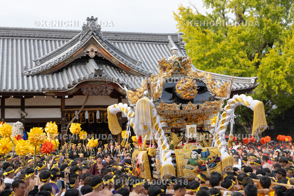 兵庫県 灘のけんか祭り(宵宮) 拝殿前練り上げ 宇佐崎