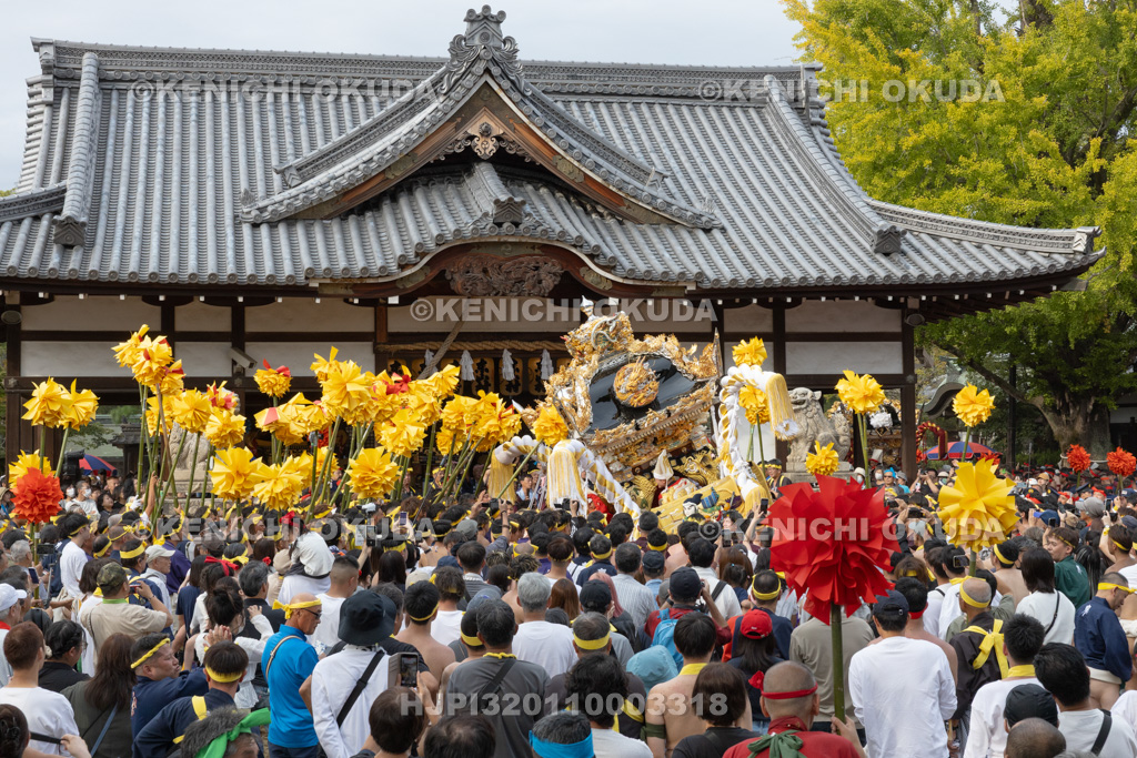 兵庫県　灘のけんか祭り（宵宮）　拝殿前練り上げ　宇佐崎
