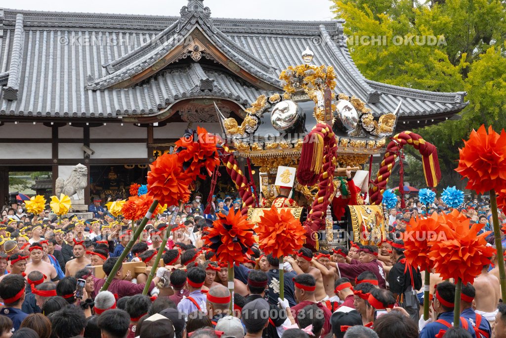 兵庫県 灘のけんか祭り(宵宮) 拝殿前練り上げ 妻鹿