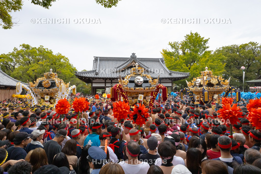 兵庫県　灘のけんか祭り（宵宮）　拝殿前練り合わせ　妻鹿・宇佐崎・中村