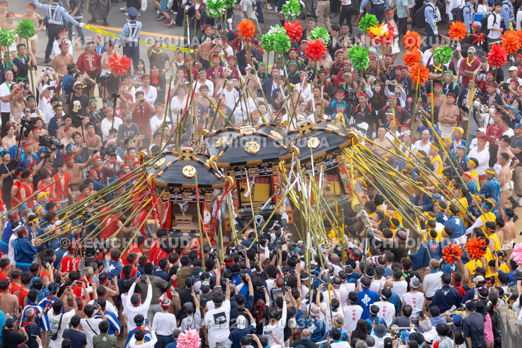 兵庫県 灘のけんか祭り(本宮) 神輿練り合わせ
