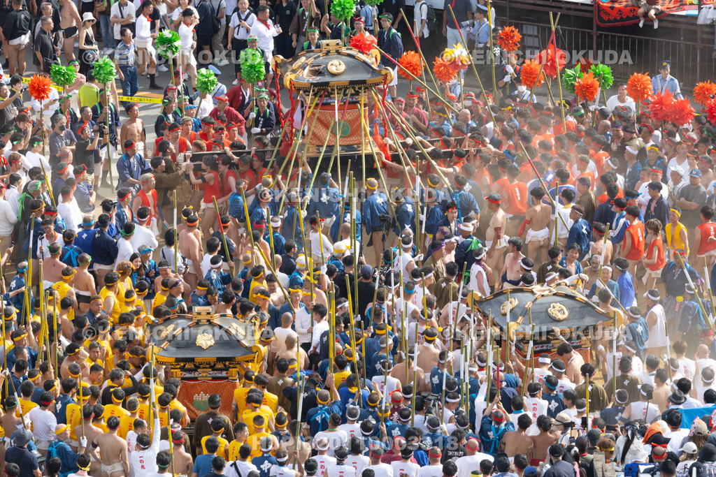 兵庫県 灘のけんか祭り(本宮) 神輿練り合わせ